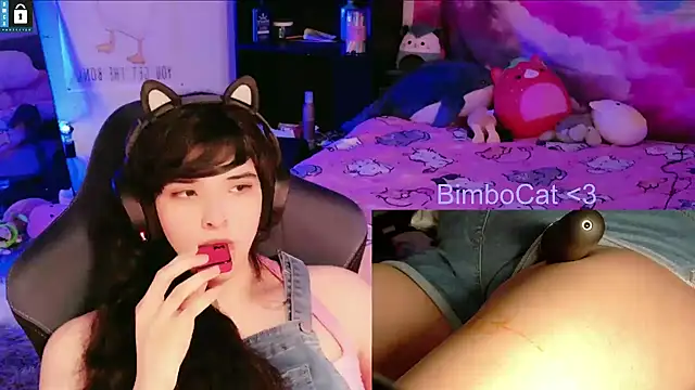 BimboCat webcam