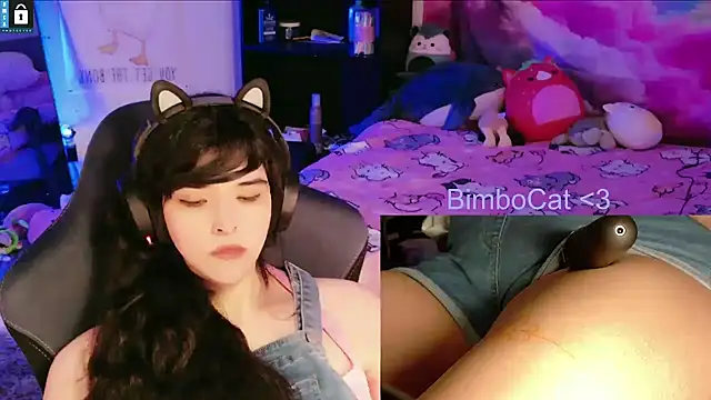 BimboCat webcam