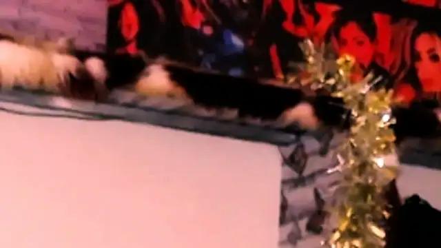 indian_dreamgirl webcam