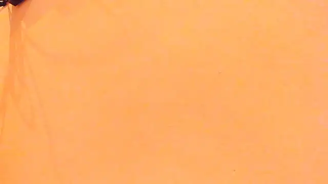 TheBatMansion webcam