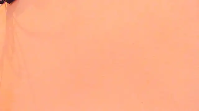 TheBatMansion webcam