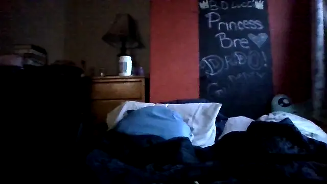 princessbr_013 webcam