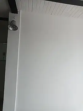 Kingbigcock23cm webcam