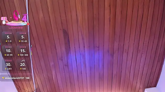 Saara_Corraless webcam