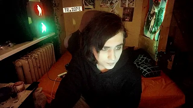 sademobeer webcam