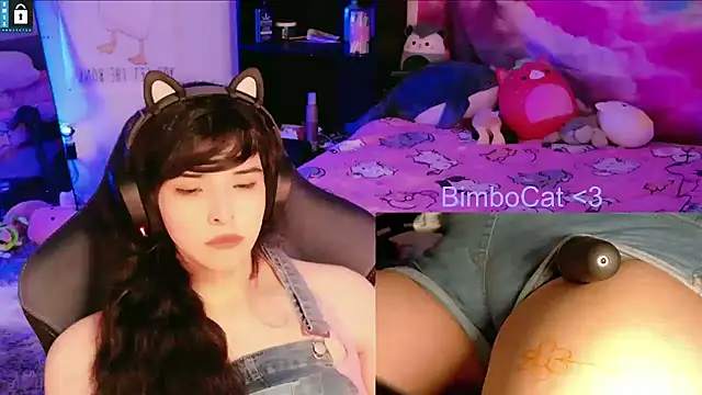 Afbeelding van BimboCat