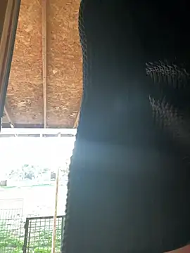 TranSexualJade95 webcam