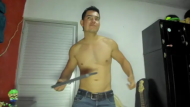 VincentSavage webcam