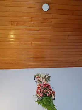 Karen_San_Miguel webcam