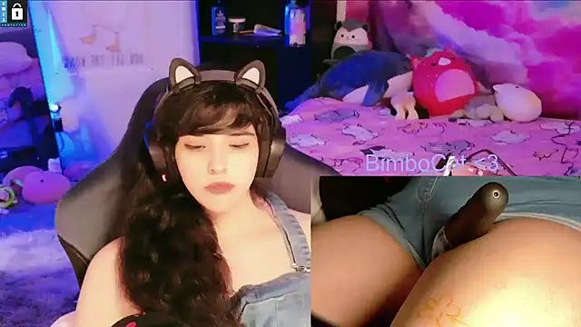 BimboCat webcam