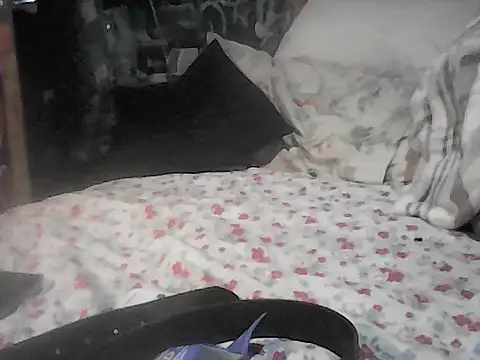 Twoslipperywhenwett webcam