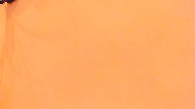 TheBatMansion webcam