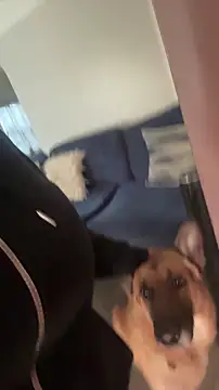 Chocolatebunnyxx96 webcam