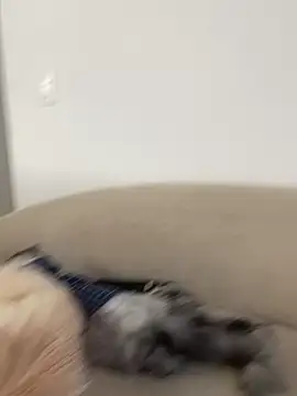 Webcam Model (Anavi_)  is live.Free join now!