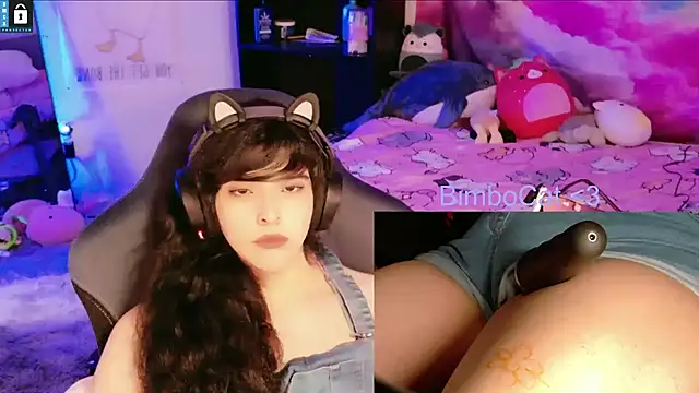 BimboCat webcam