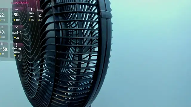 Vittoria_Conti_ webcam