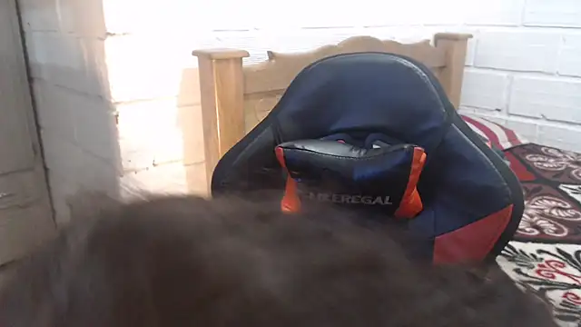 sexyjustin202 webcam