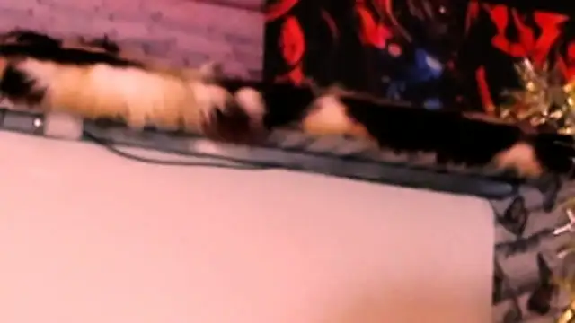 indian_dreamgirl webcam