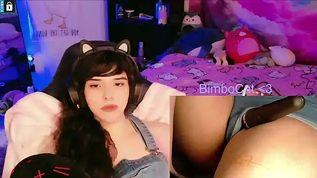 BimboCat webcam