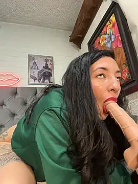 SALOME_KORLAND webcam