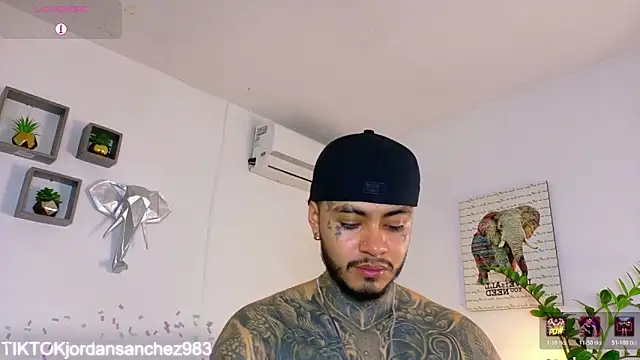 JordanSmiith_ webcam