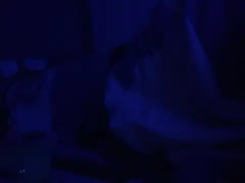 GeilerHSVFAN1989 webcam