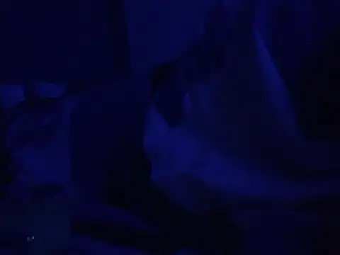 GeilerHSVFAN1989 webcam