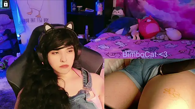 BimboCat webcam