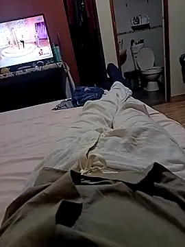 Hugopingonasa2024 webcam