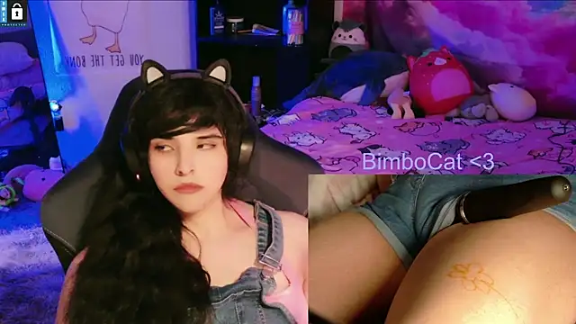 BimboCat webcam