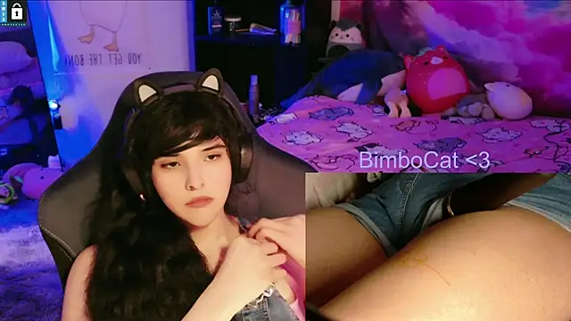 BimboCat webcam