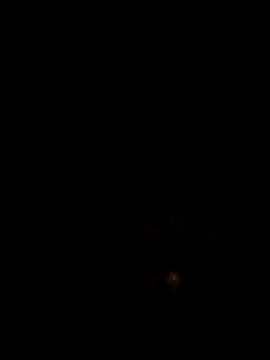 Joseerinaldo99 webcam