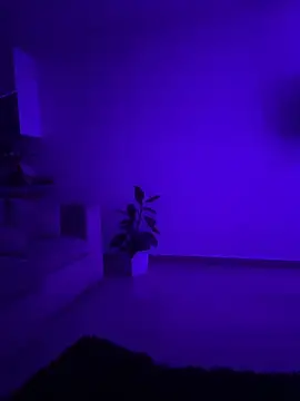 Electra_doll_ webcam