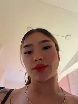 Arianavillada webcam