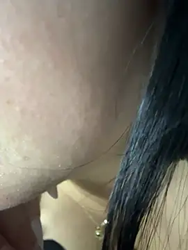 obsidian_paws webcam