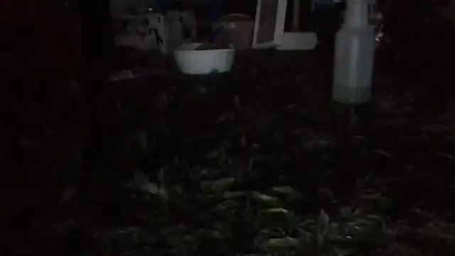 Preview of 81grandplusthis