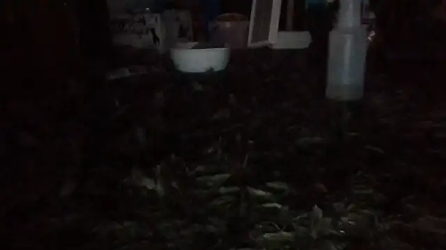 81grandplusthis webcam