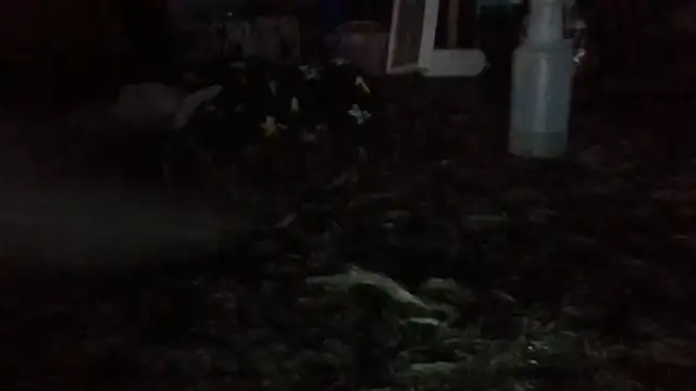 81grandplusthis webcam