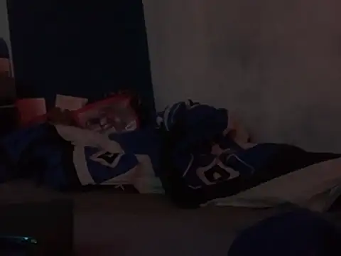 GeilerHSVFAN1989 webcam