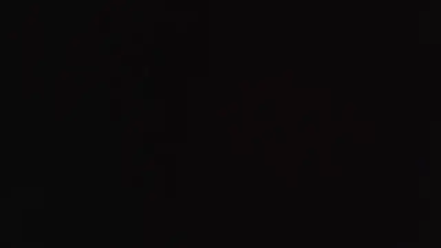 Benny_and_Mark webcam