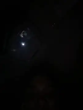 exotic__couple webcam