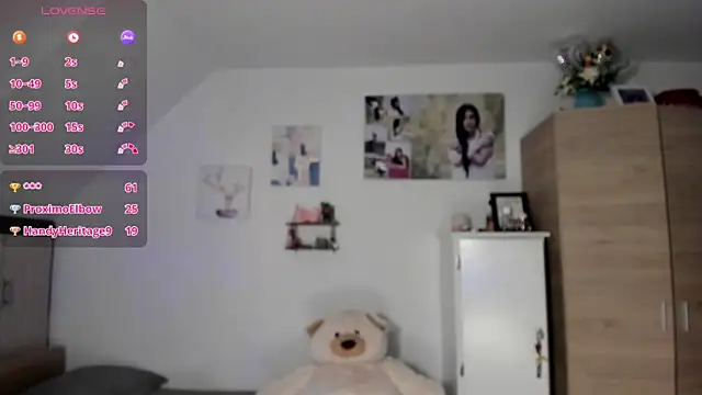 Veronikolsen- webcam