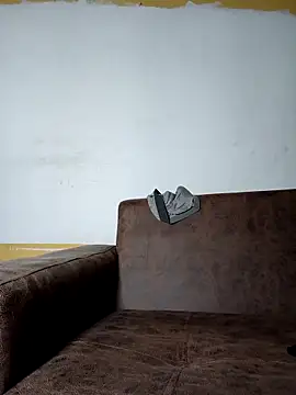 bigblackbangerkay webcam