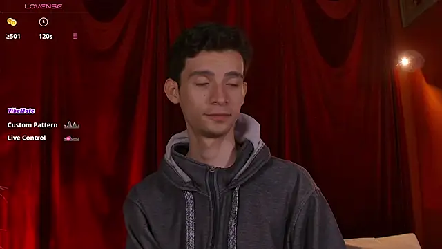 VicenteFerrer webcam