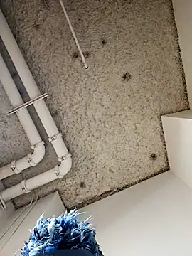 DarkSkinStroker webcam