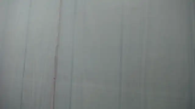 allison_max_tattoo webcam