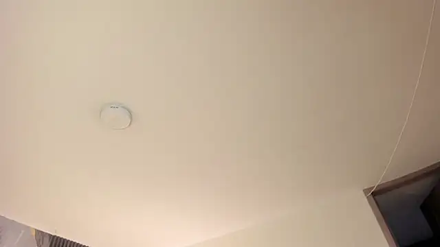 alahiaFoxter_ webcam