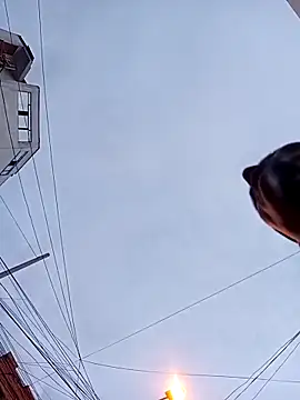 bebicho14 - Bebicho14's free webcam