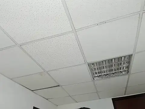 Aisha_hotts777 webcam