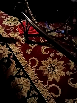 stressrliver88 webcam